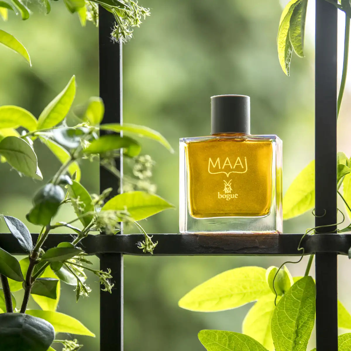 bogue Profumo - MAAI