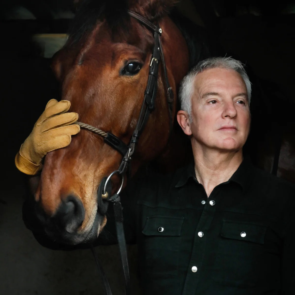 Parfum d'Empire - Equistrius zeigt Mann mit Handschuh berührt Pferd im Stall in ruhiger Atmosphäre