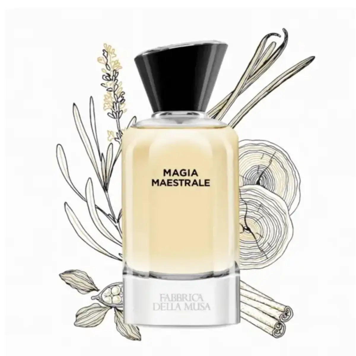 Fabbrica della Musa - Magia Maestrale