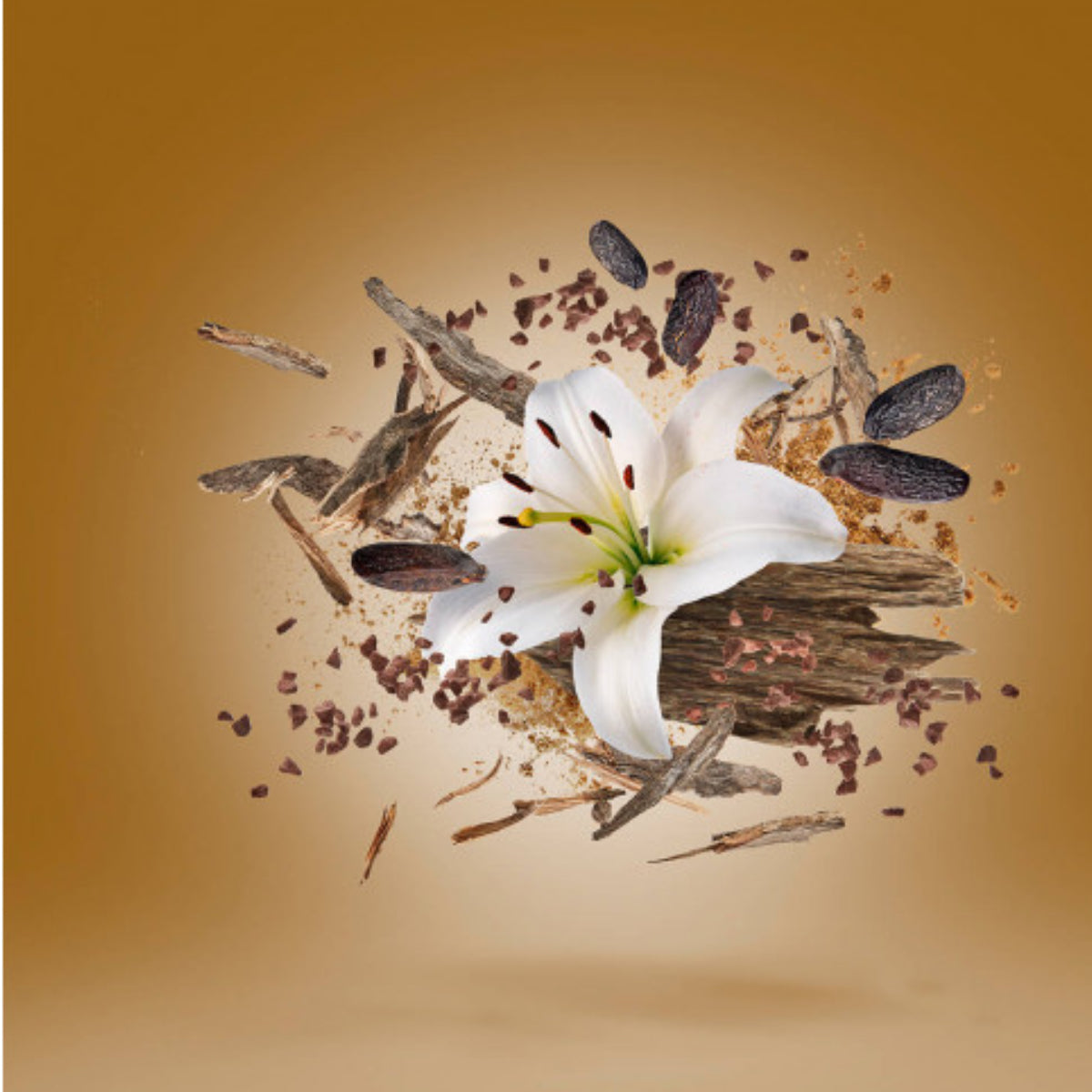 Xerjoff - Oud Stars - Malesia