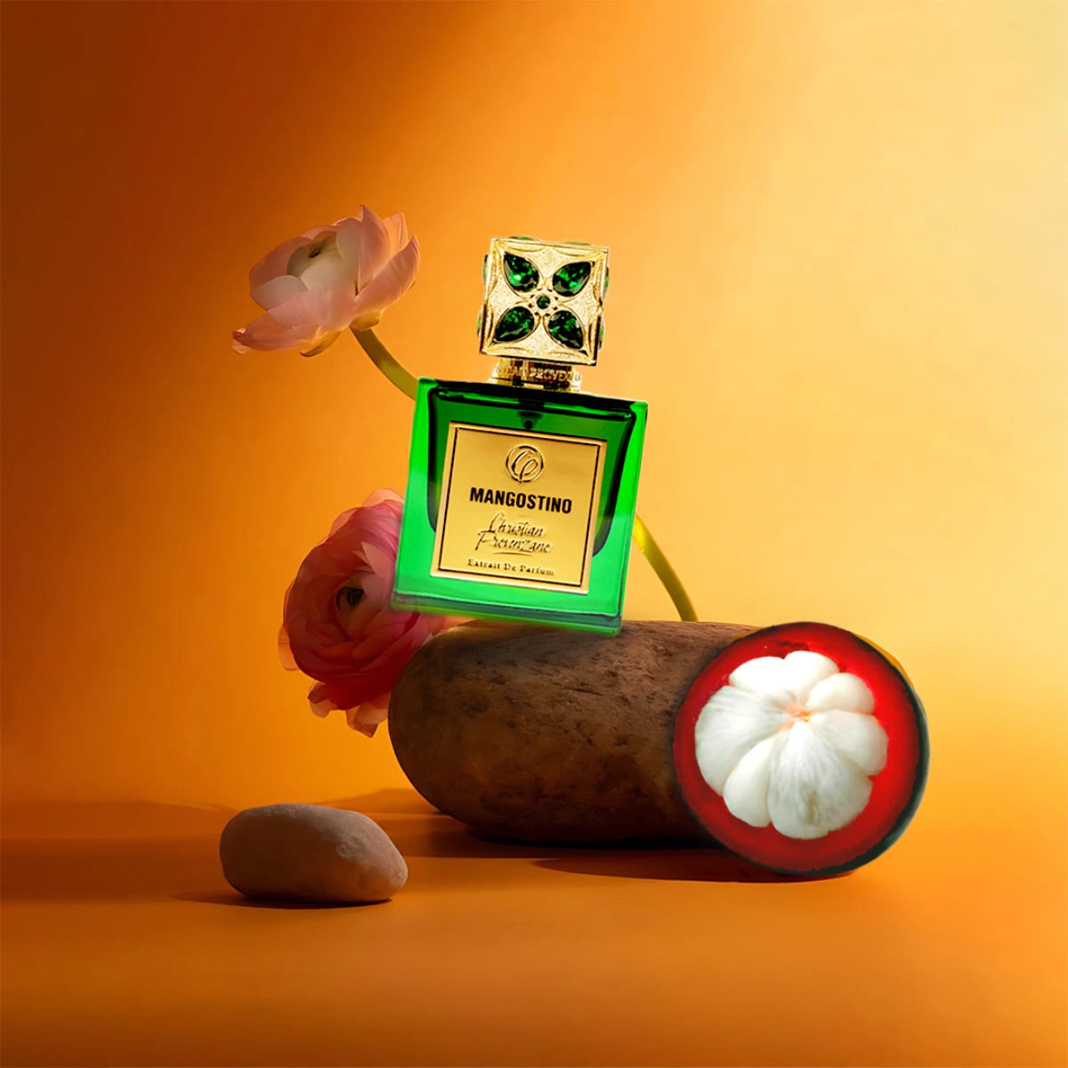 Christian Provenzano - Mangostino