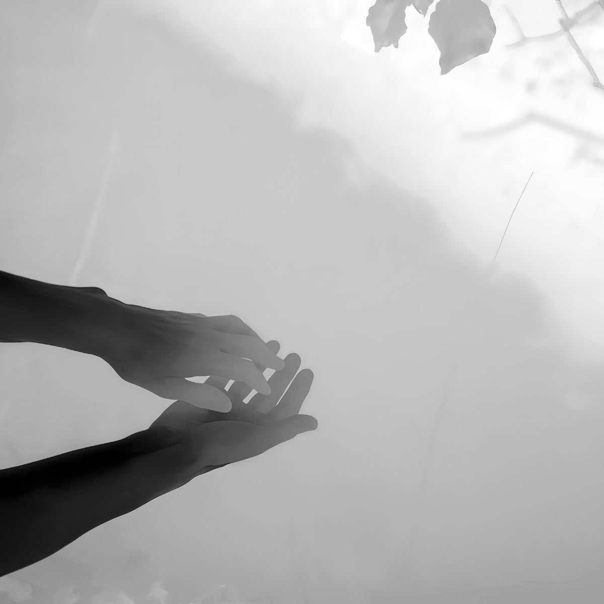 Comme des Garçons - Max Richter 01