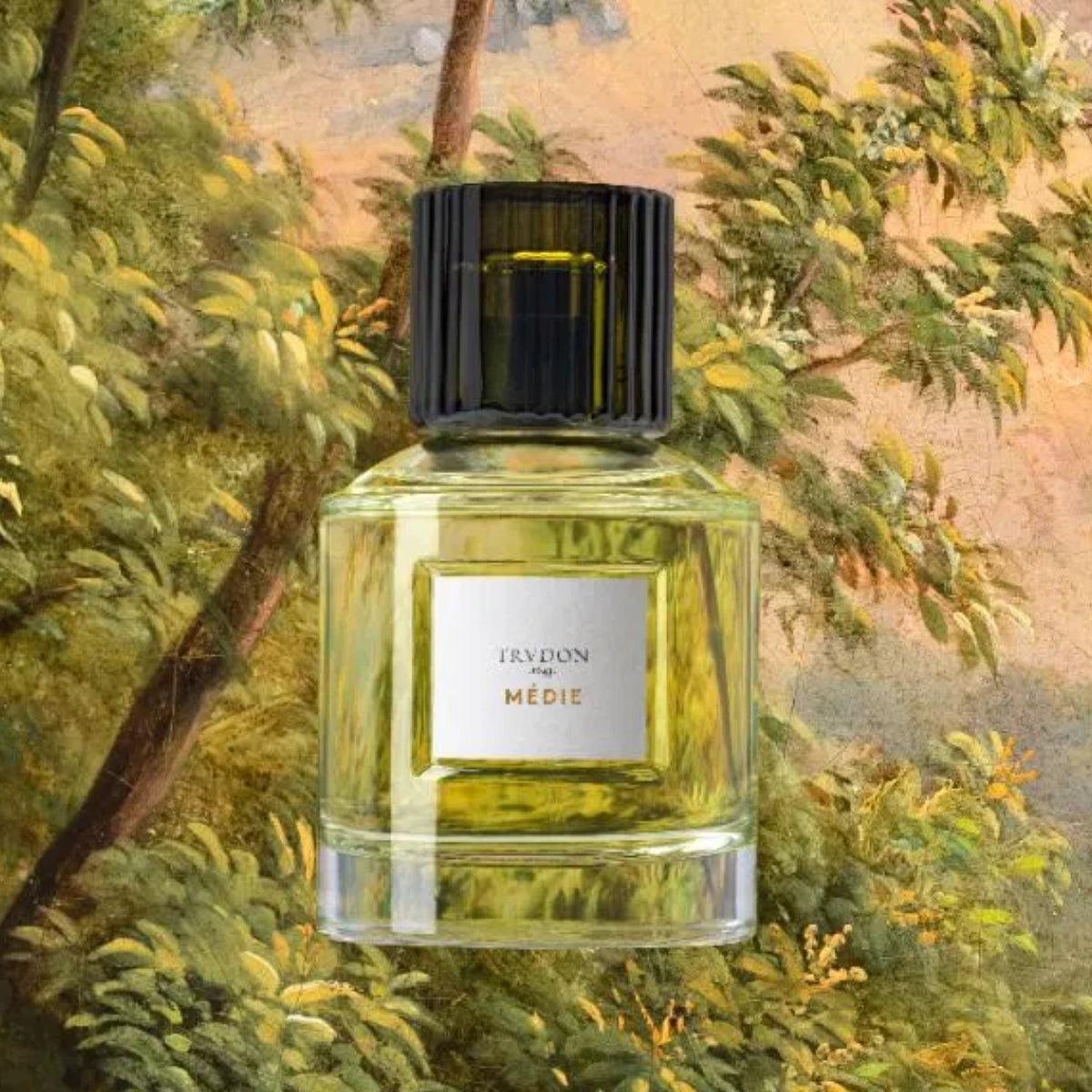 Trudon - Médie