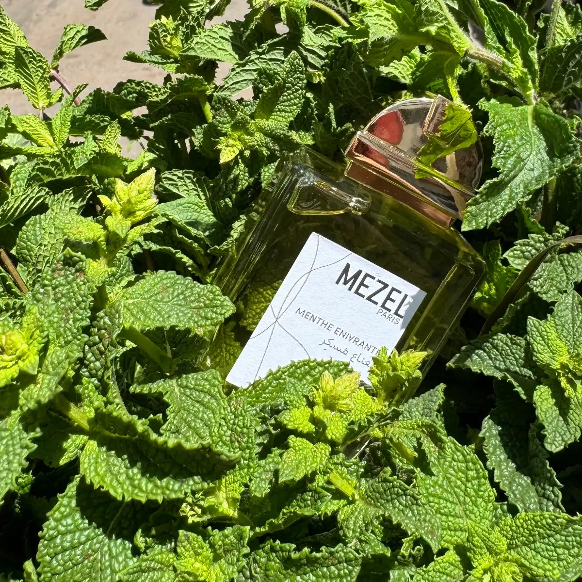 Mezel Paris - Menthe Enivrante