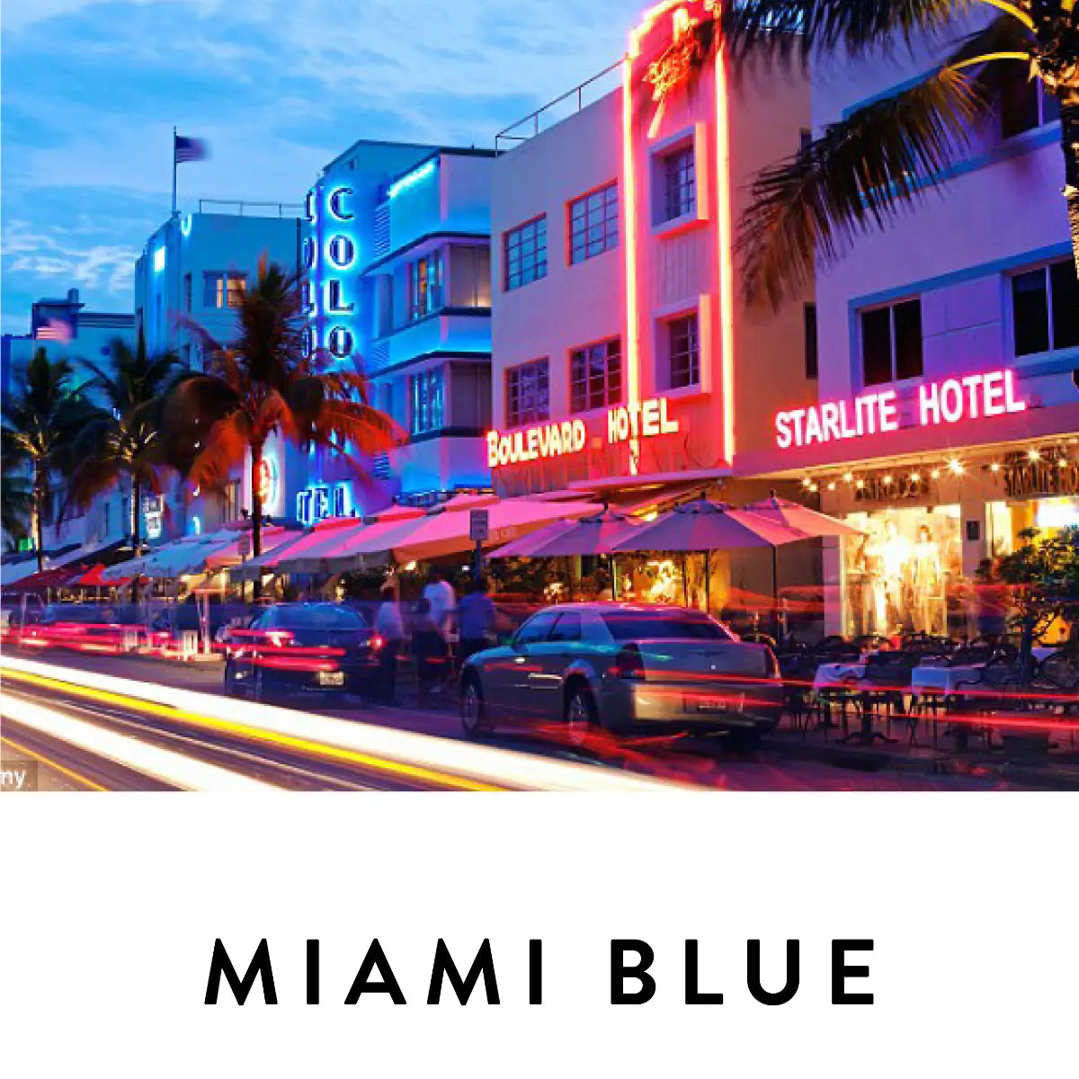 19-69 - Miami Blue