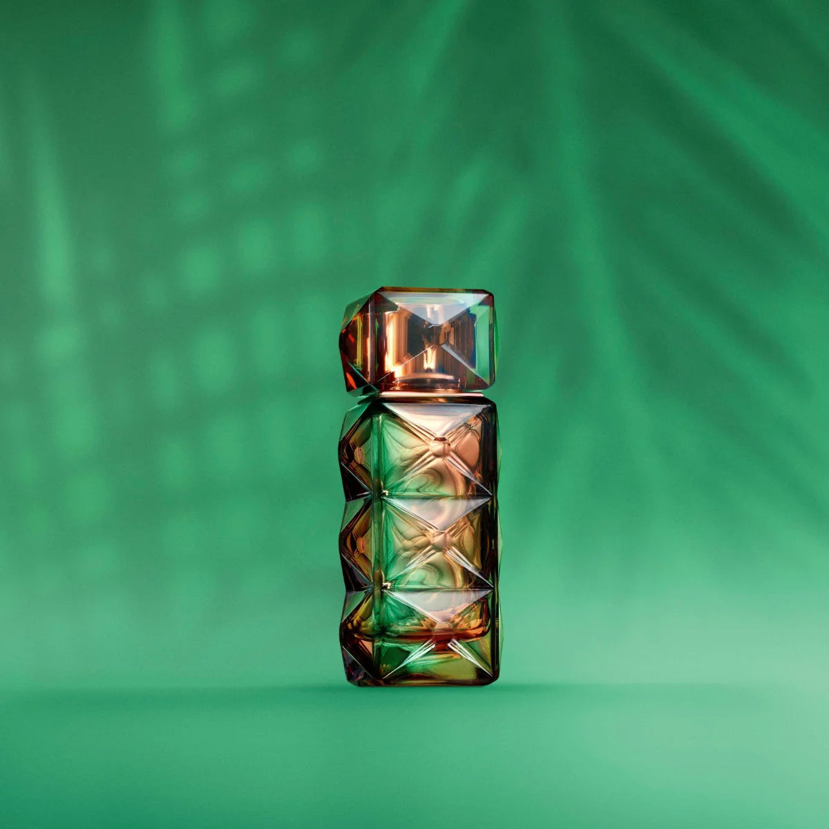 FO'AH - Collection Mémoires d'une Palmeraie - 02