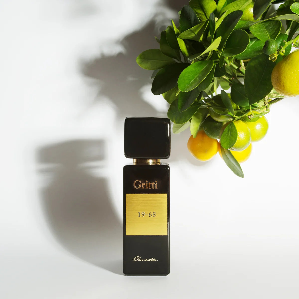 Gritti - Black Collection - 19-68