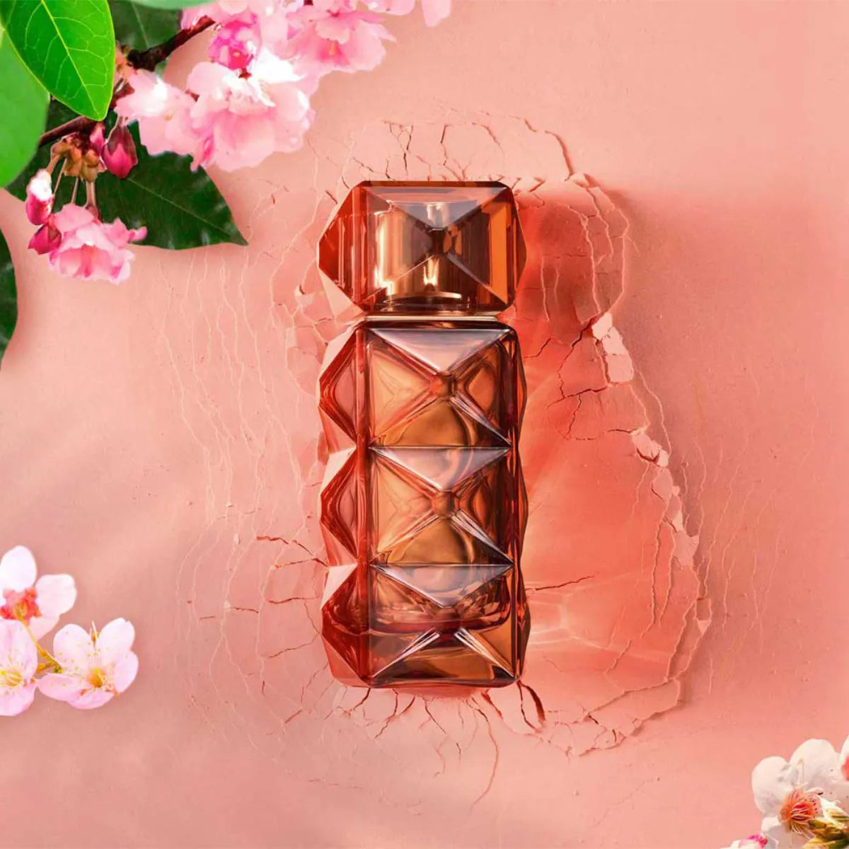 FO'AH - Collection Mémoires d'une Palmeraie - 17