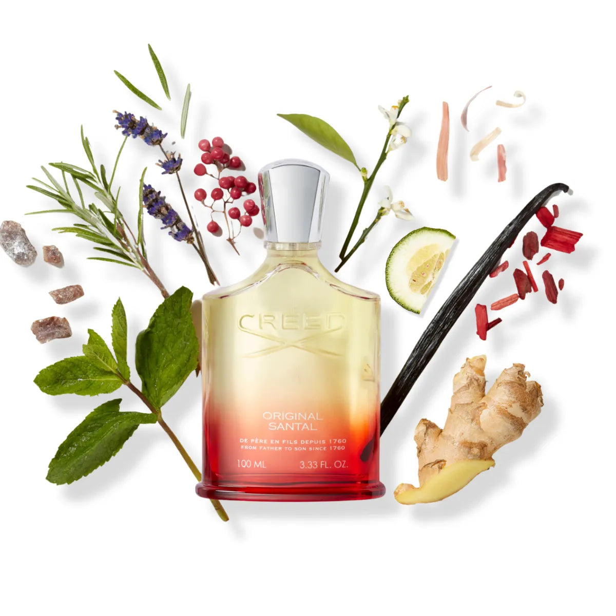 Creed - Original Santal