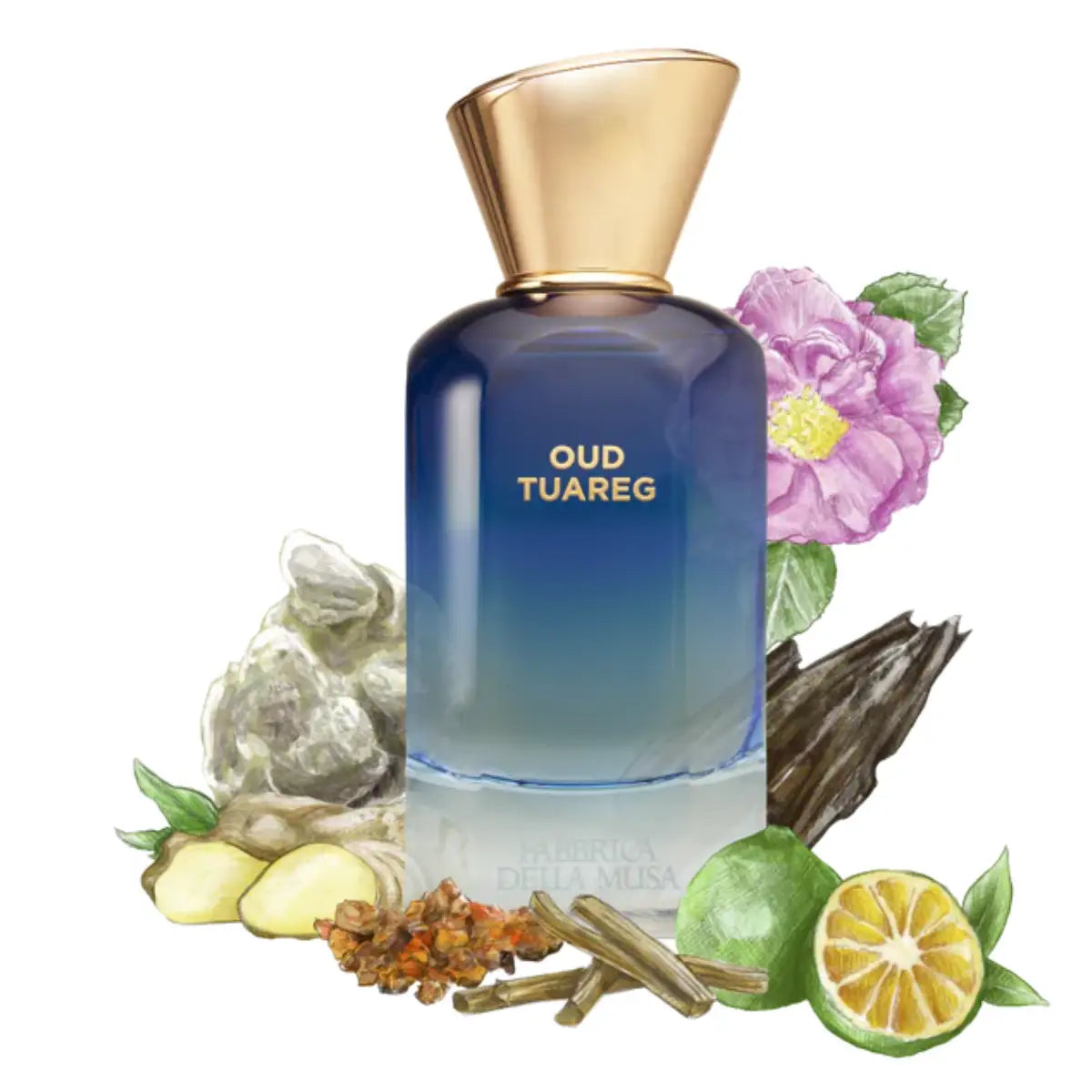 Fabbrica della Musa - Oud Tuareg