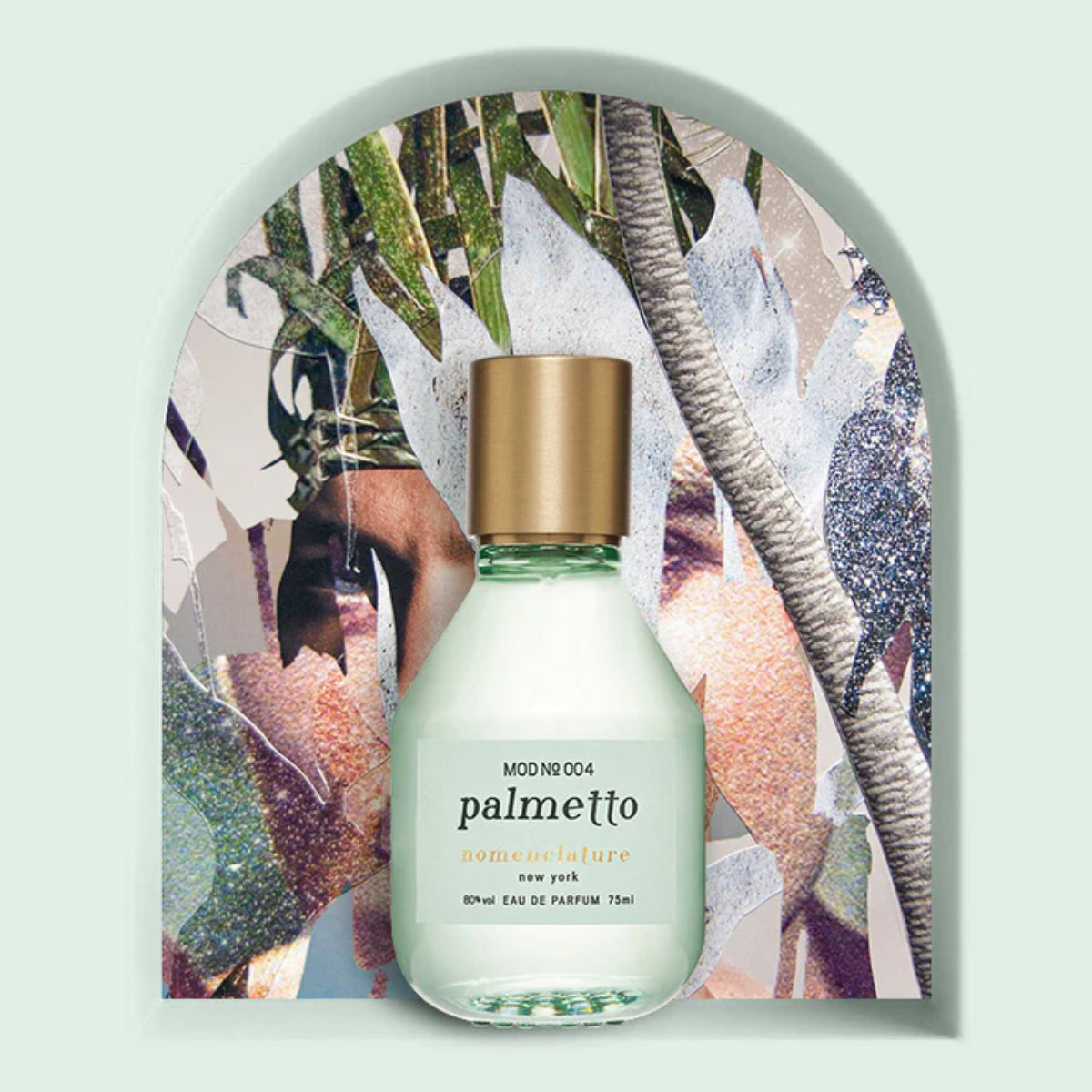 Nomenclature - palmetto
