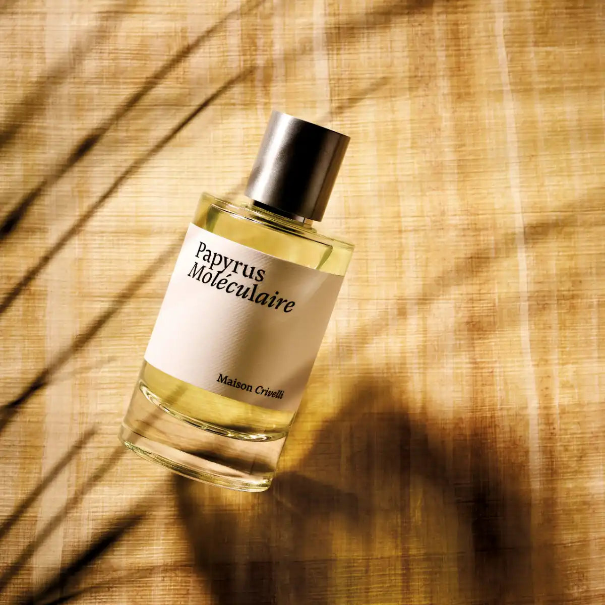 Maison Crivelli - Papyrus Moléculaire