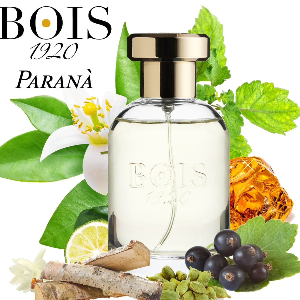 Bois 1920 - Trasparenti - Paranà