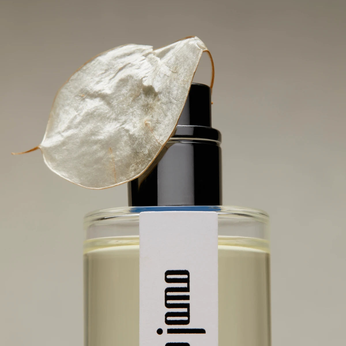 Hima Jomo - Treasures - Pashm