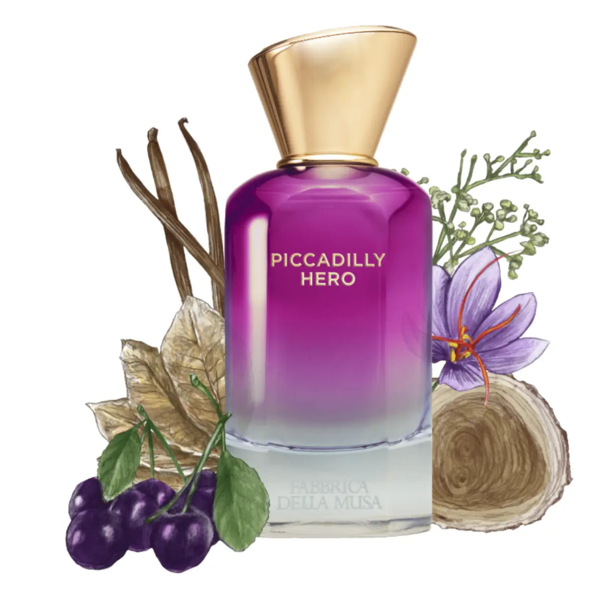 Fabbrica della Musa - Piccadilly Hero