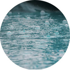 Singing in the rain