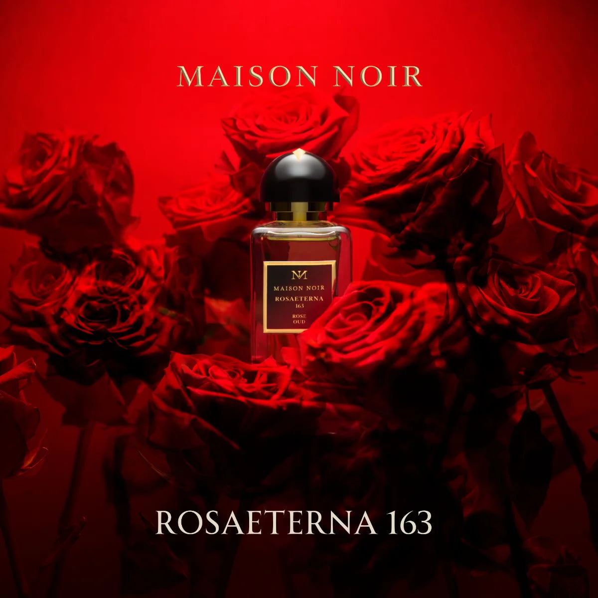 Maison Noir - RosaEterna 163