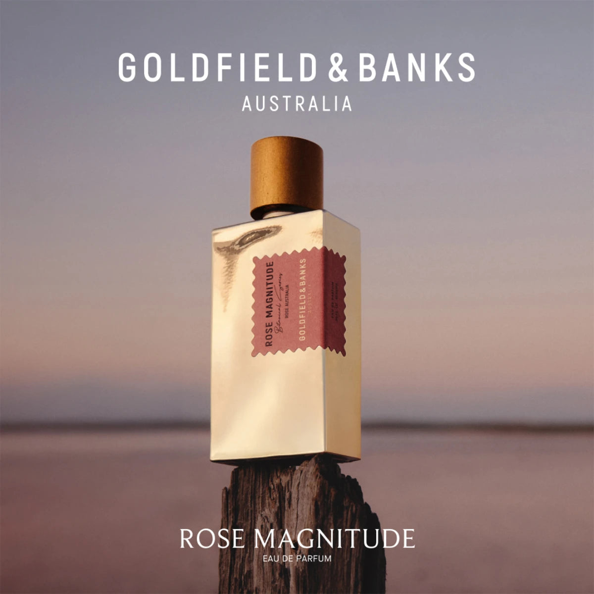 Goldfield & Banks - Botanical Series - Rose Magnitude