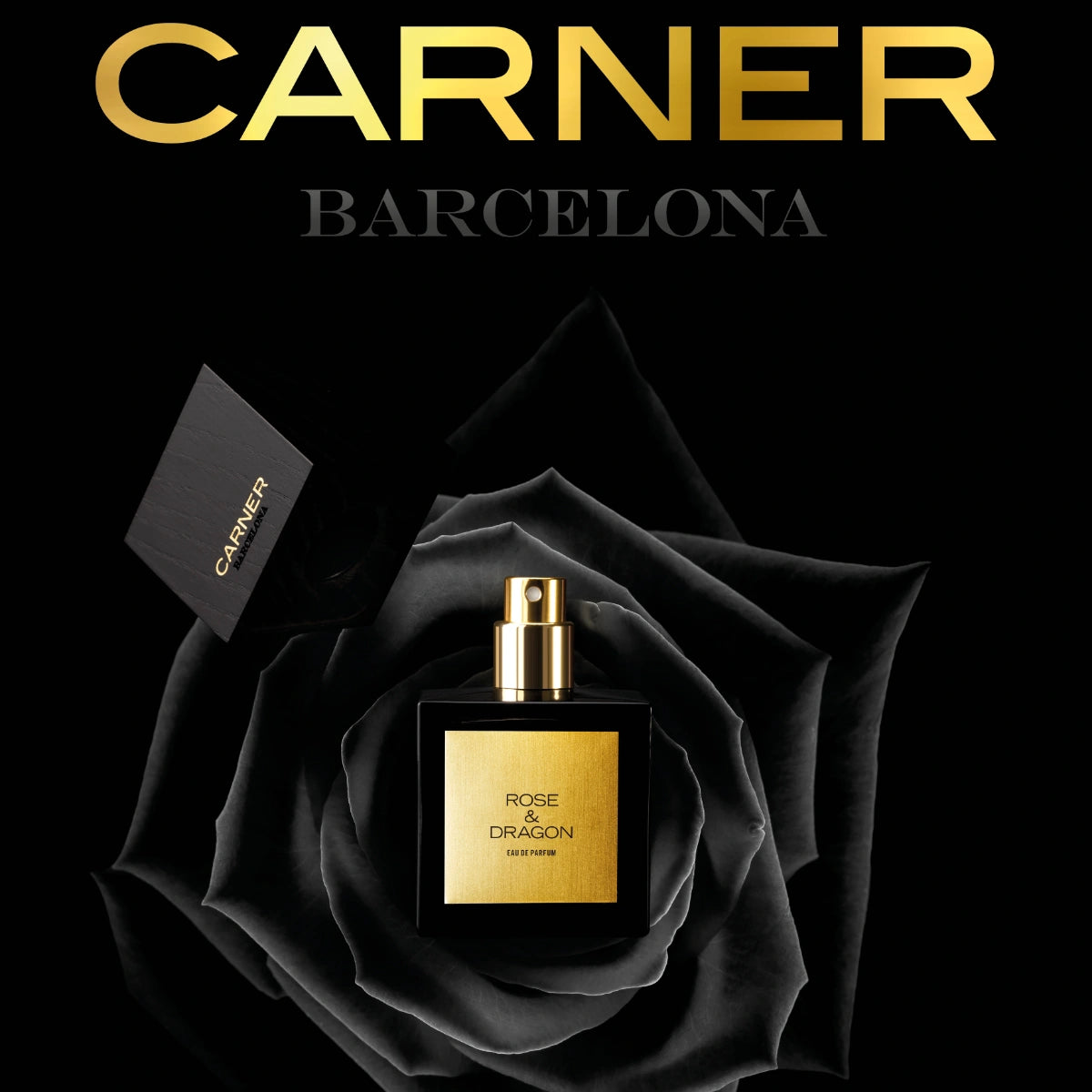 Carner Barcelona - Black Collection - Rose & Dragon