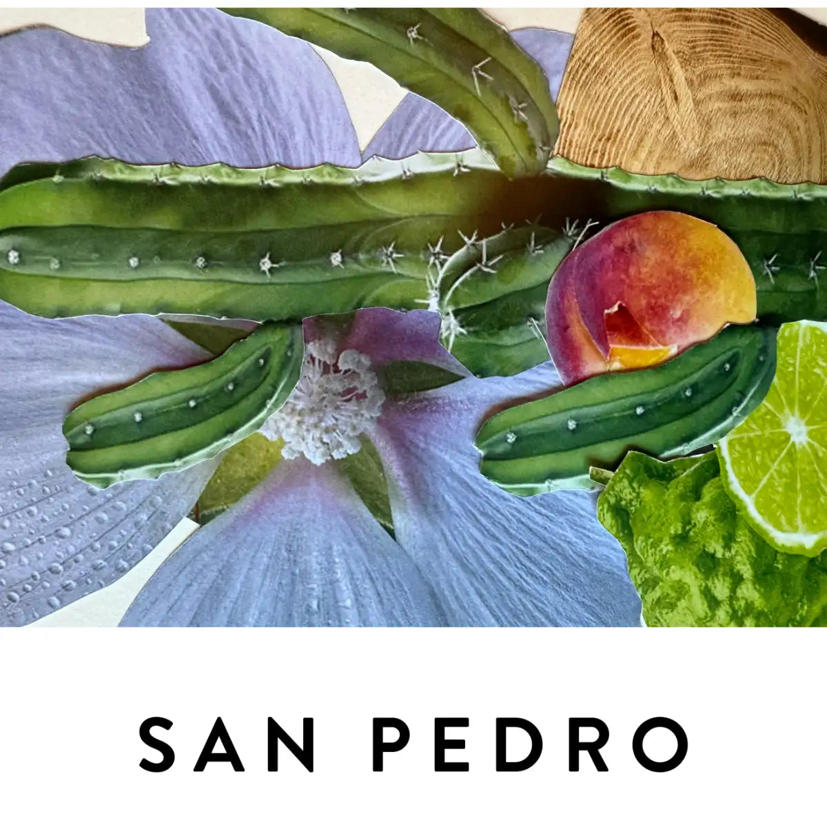19-69 - San Pedro