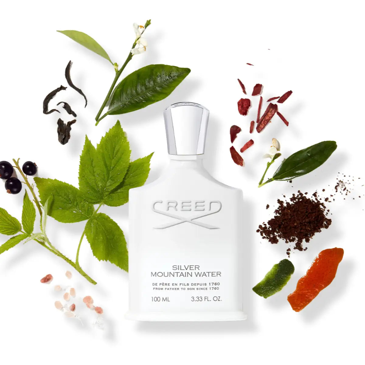 Creed - Silver Mountain Water