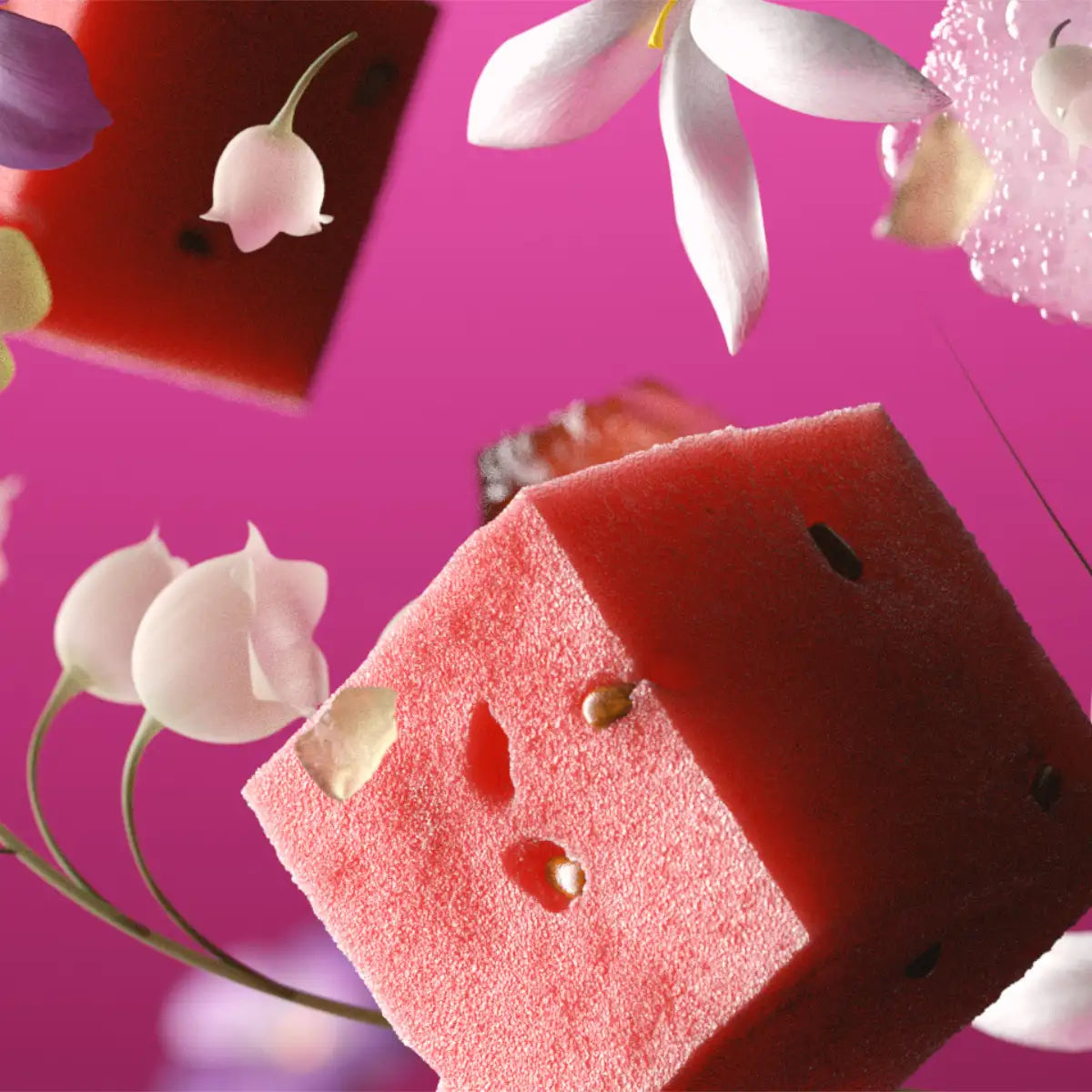 Andrea Maack Parfums - Solstice