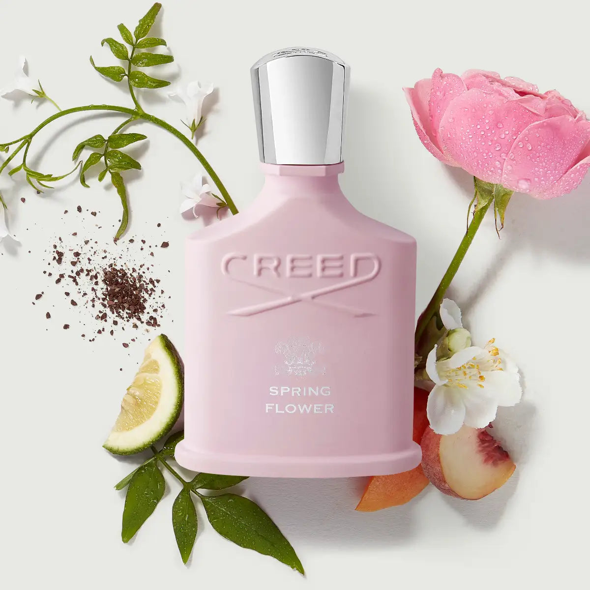 Creed - Spring Flower