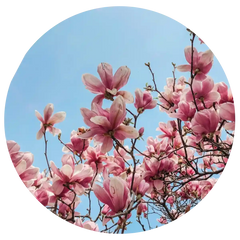 Spring Scents