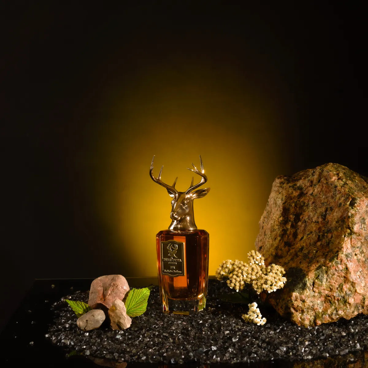 Pana Dora Sweden - XVI