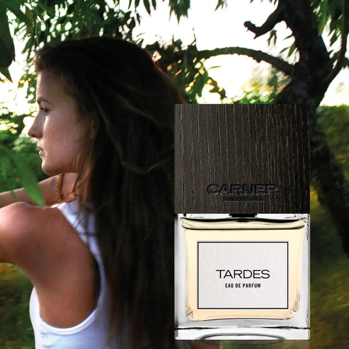 Carner Barcelona - Tardes