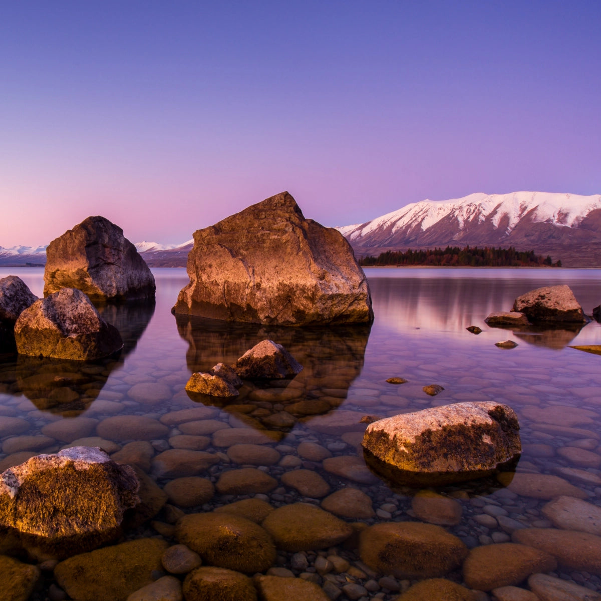 Olfattology - Tekapo