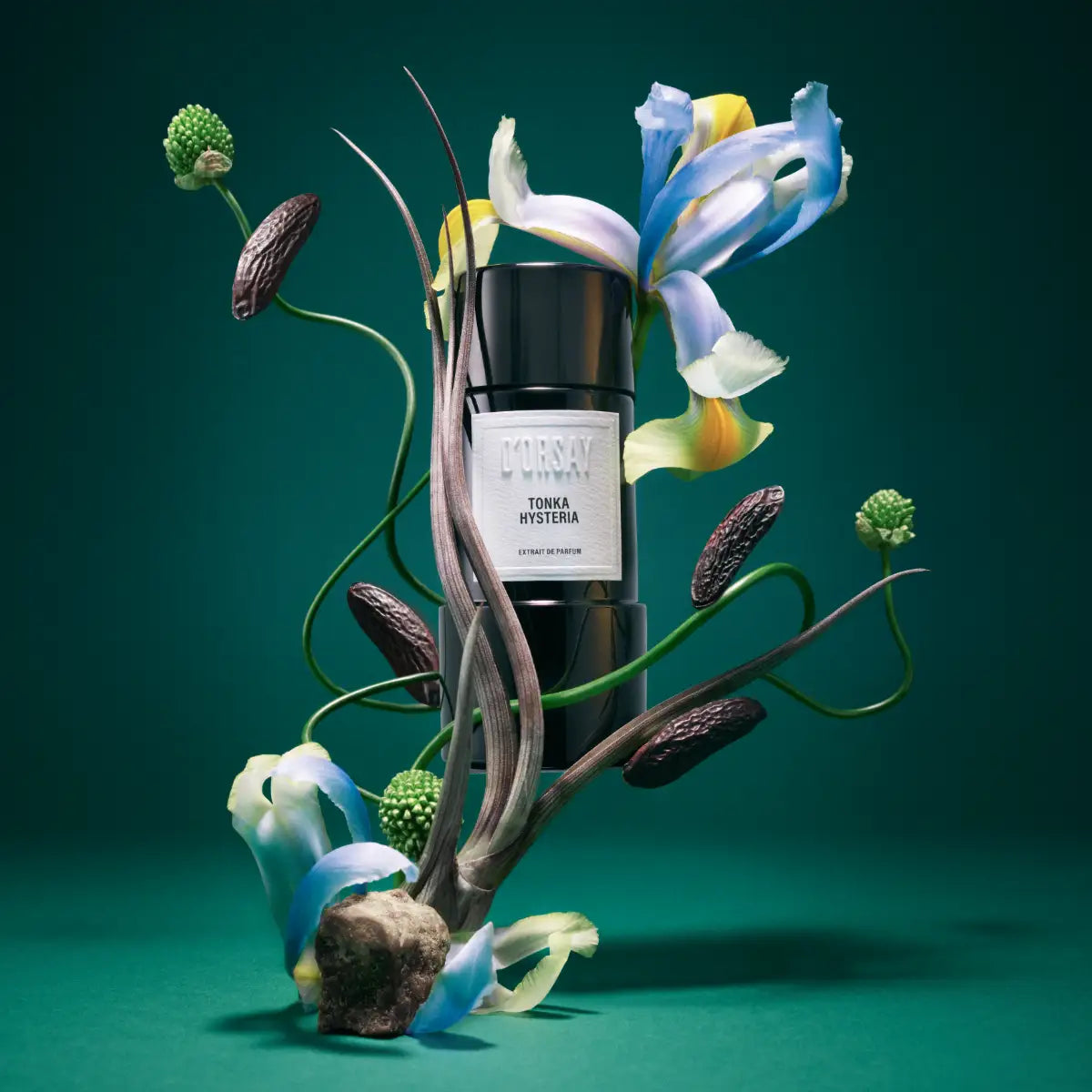 D'Orsay - Tonka Hysteria