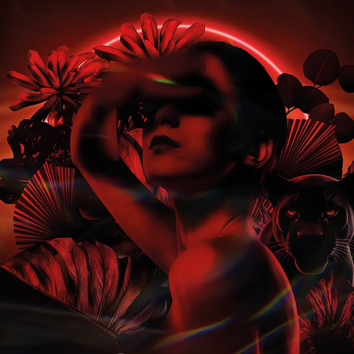 Pierre Guillaume - Beyond Collection - Volupté Noire