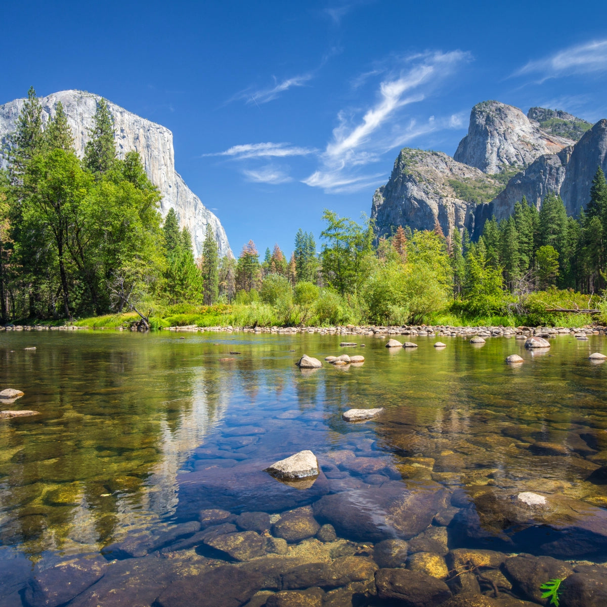 Olfattology - Yosemite