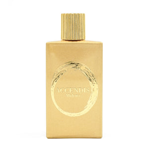 Accendis - The Golds - Alidoro