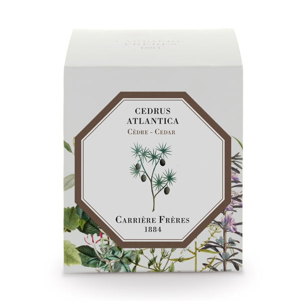 Carrière Frères - Cedar - Cedrus Atlantica - Scented Candle