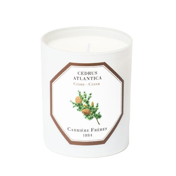 Carrière Frères - Cedar - Cedrus Atlantica - Scented Candle