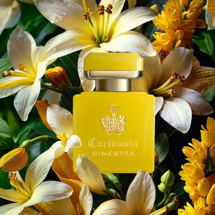 Carthusia - Intenso Collection - Ginestra
