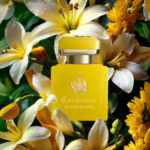 Carthusia - Intenso Collection - Ginestra