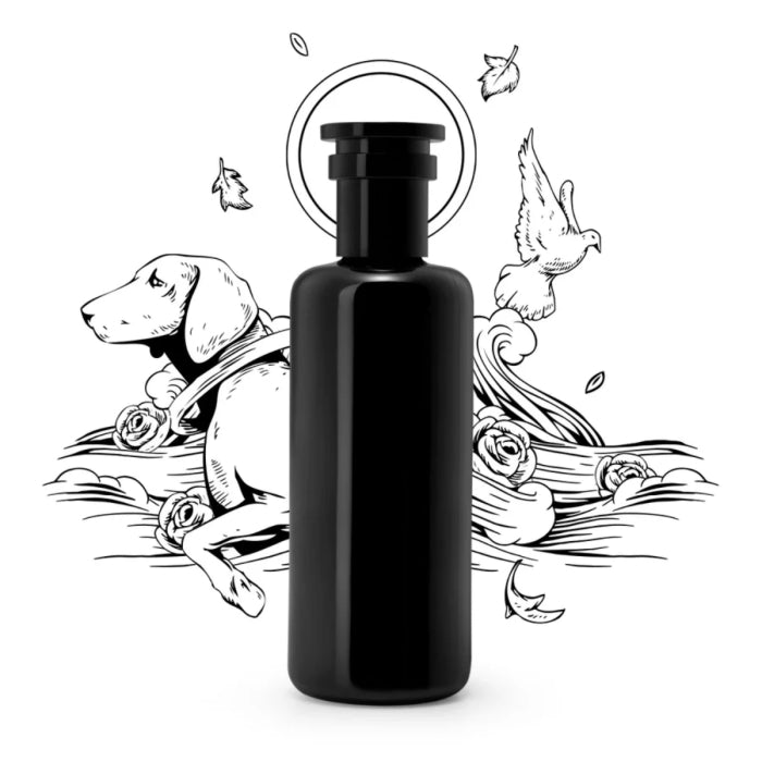 Argentum - L'Eau de Jouvence