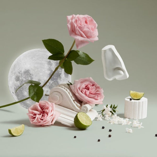 Penhaligon's - Luna - Body & Hand Lotion