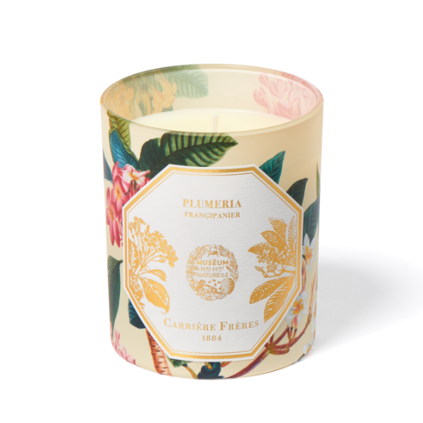 Carrière Frères - Plumeria - Frangipani - Duftkerze