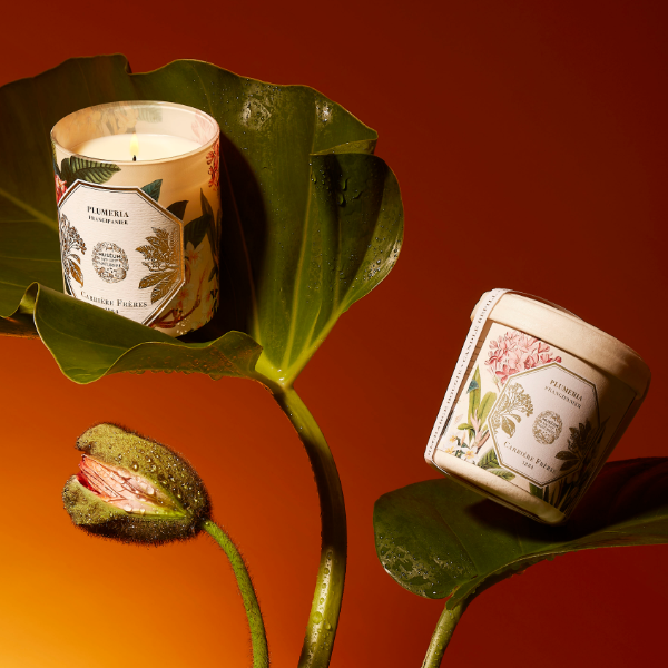 Carrière Frères - Plumeria - Frangipani - Duftkerze Refill