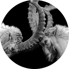 The provocateurs – young rebels and avant-garde artists