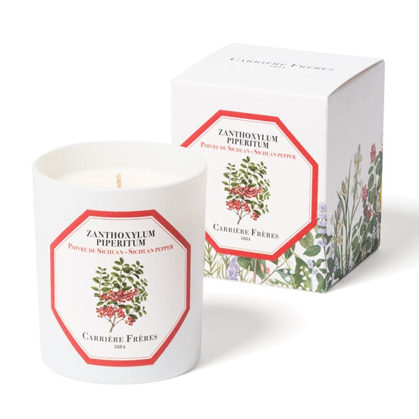Carrière Frères - Sichuan Pepper - Zanthoxylum Piperitum - Scented Candle