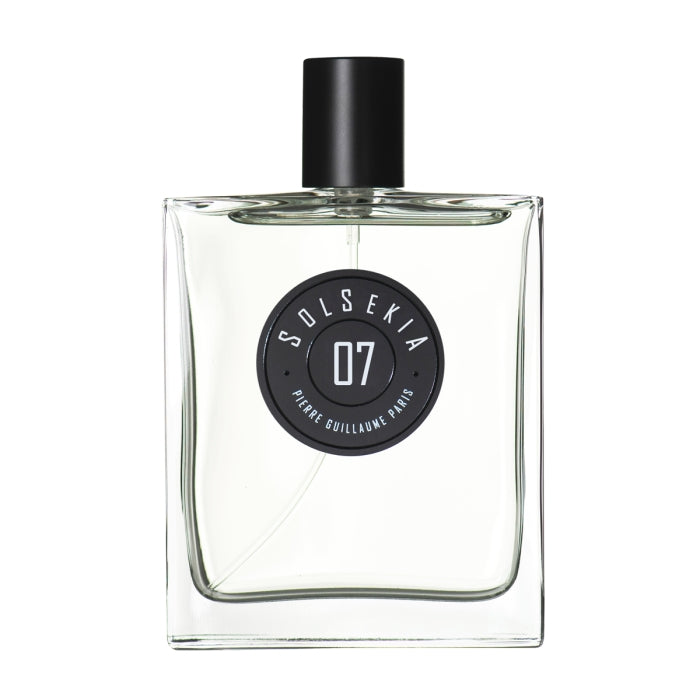 Pierre Guillaume - Solsekia No.7