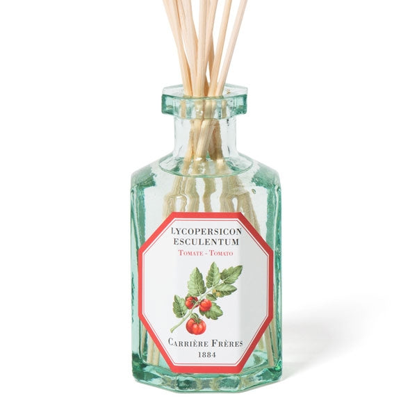 Carrière Frères - Tomato - Lycopersicon Esculentum - Diffusor
