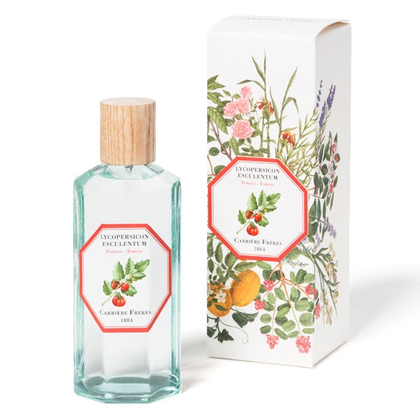 Carrière Frères - Tomato - Lycopersicon Esculentum - Raumspray